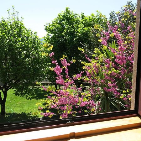 Casa Dos Tinocos Villa Braga Eksteriør billede