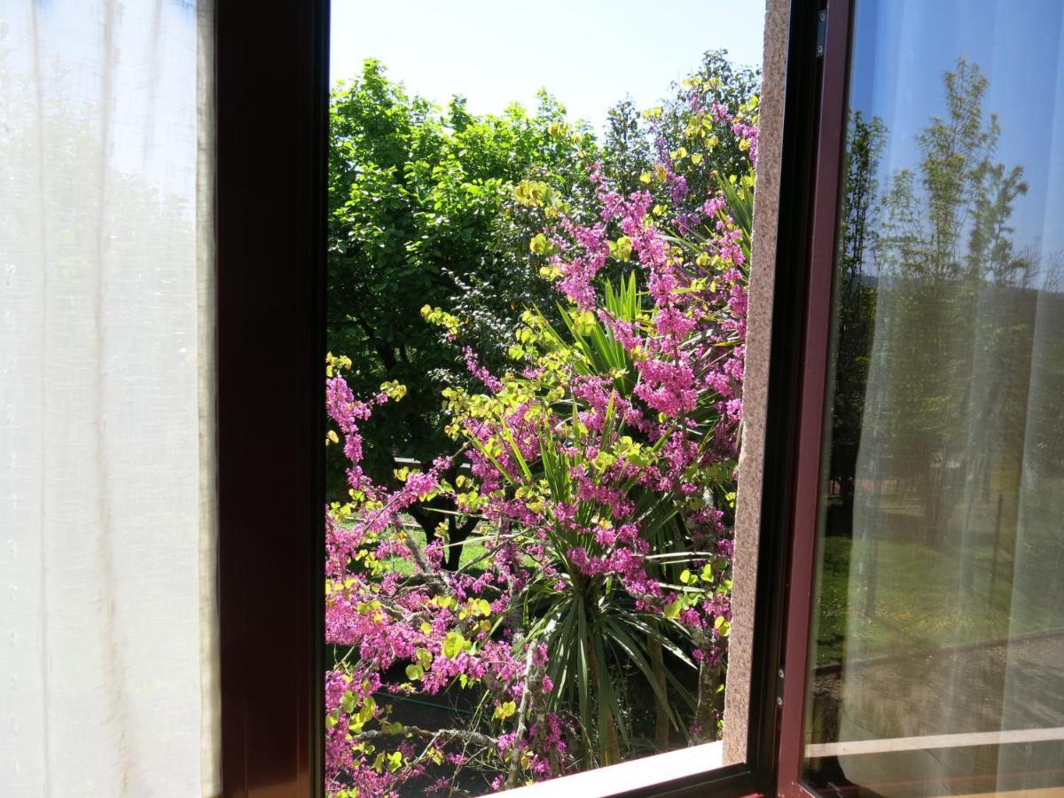 Casa Dos Tinocos Villa Braga Eksteriør billede