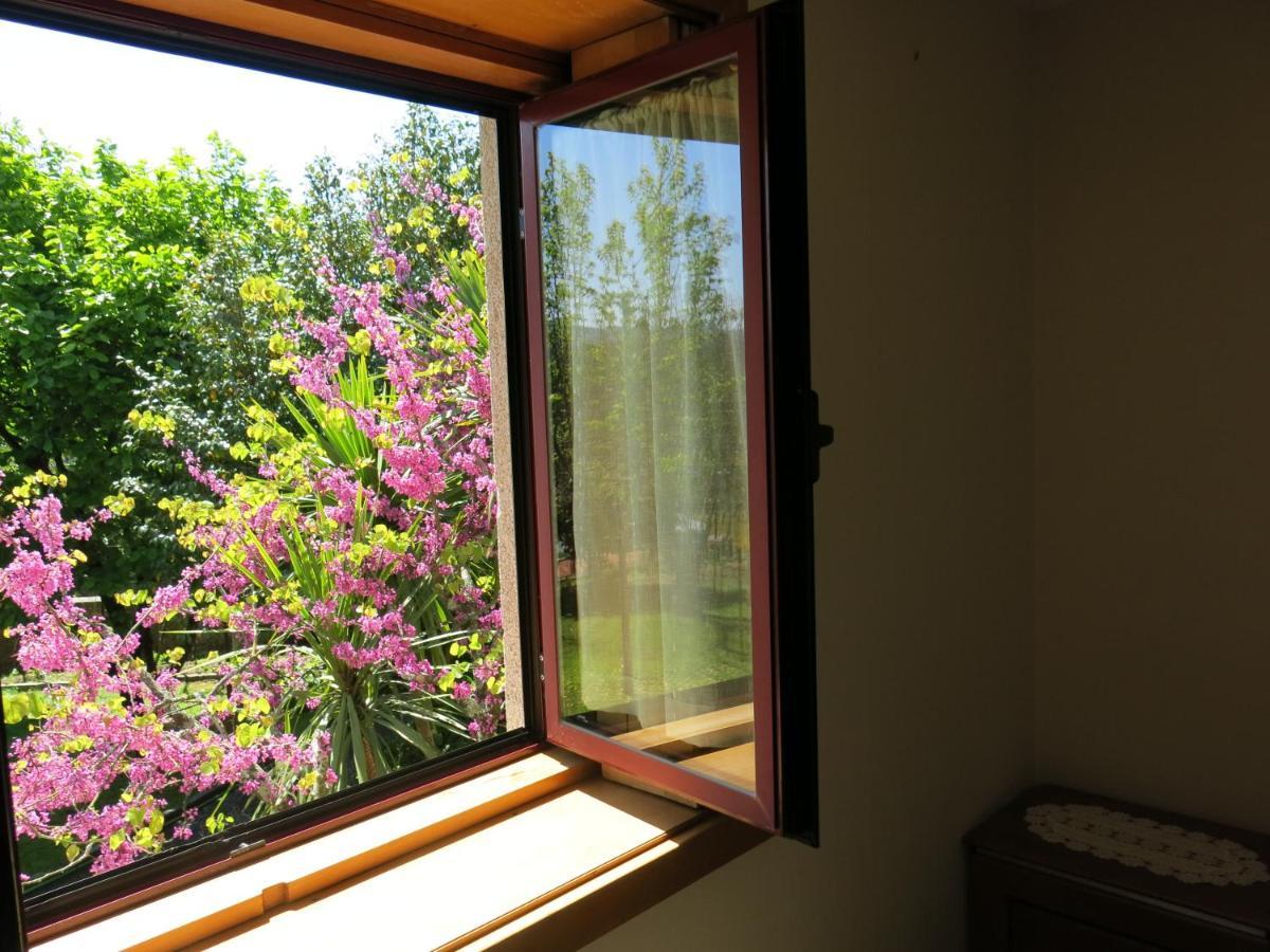 Casa Dos Tinocos Villa Braga Eksteriør billede