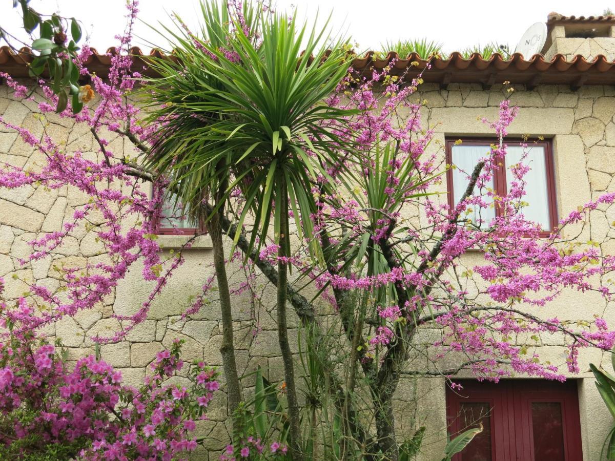 Casa Dos Tinocos Villa Braga Eksteriør billede