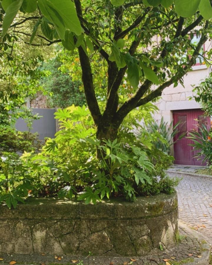 Casa Dos Tinocos Villa Braga Eksteriør billede